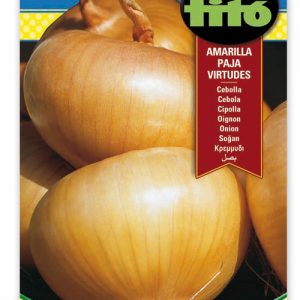 Cebolla Amarilla Virtudes