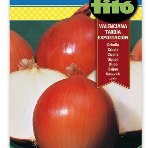 Cebolla Exportación Valenciana