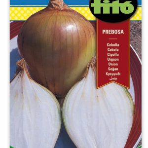 Cebolla Prebossa