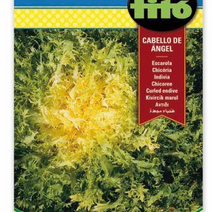 Chicoria Escarola Cabello Angel