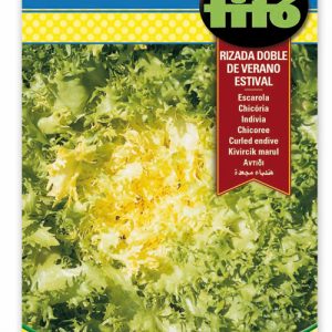 Chicoria Rizada Doble Verano