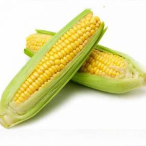 Maiz Dulce Hib. Jubilee F-1
