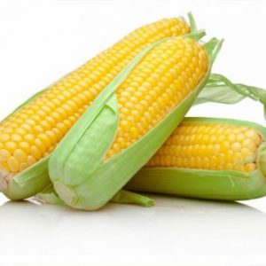 Maíz Dulce Hib. Jubilee F-1